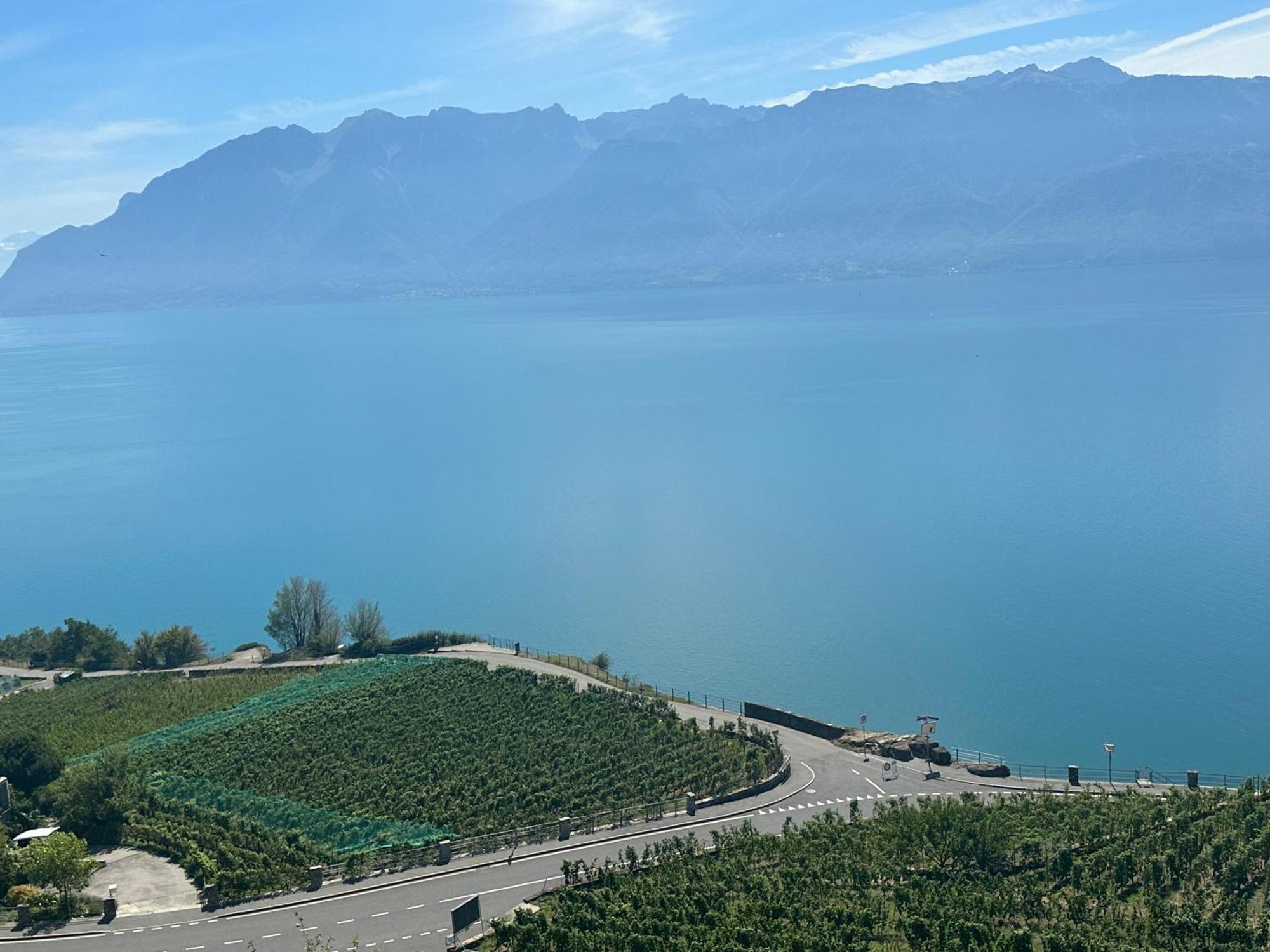 Room With 360° View Overlooking Lake Geneva And Alps Puidoux Luaran gambar